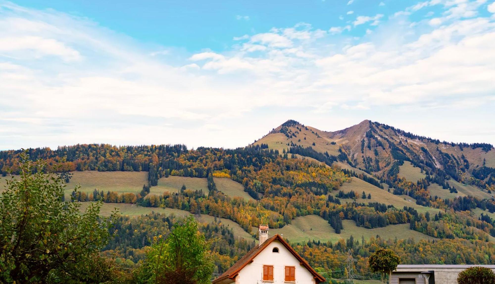 Gruyere Alpes Appartement 3 Chambres Bbq Parking Neirivue エクステリア 写真