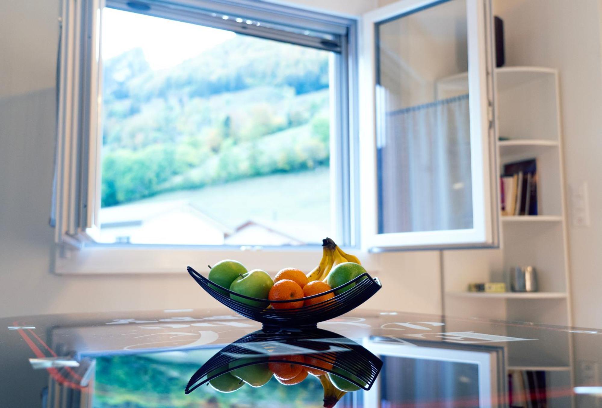 Gruyere Alpes Appartement 3 Chambres Bbq Parking Neirivue エクステリア 写真